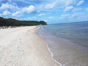 Una spiaggia con una battigia sabbiosa, acque calme e un pendio boscoso sullo sfondo.