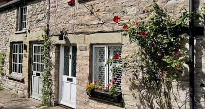 Pretty cottage, perfect readers' retreat in centre of Hay, parking & fast wifi