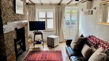 Una Smart TV, una chimenea, un reproductor de DVD, libros