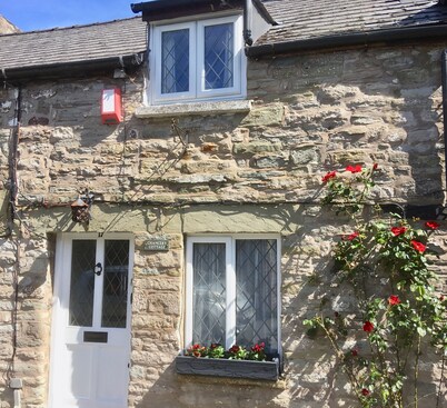 Pretty cottage, perfect readers' retreat in centre of Hay, parking & fast wifi