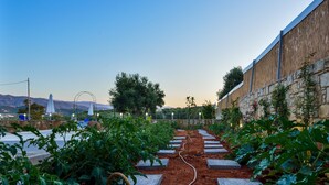 A garden with raised beds and a variety of plants, a stone wall, and a view of distant mountains. - Villa Abelizia with private pool (Chania)