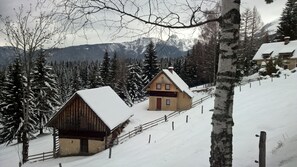 Exterior - Mountain House, a perfect location for hiking and mounteniring. (Srednja vas v Bohinju)