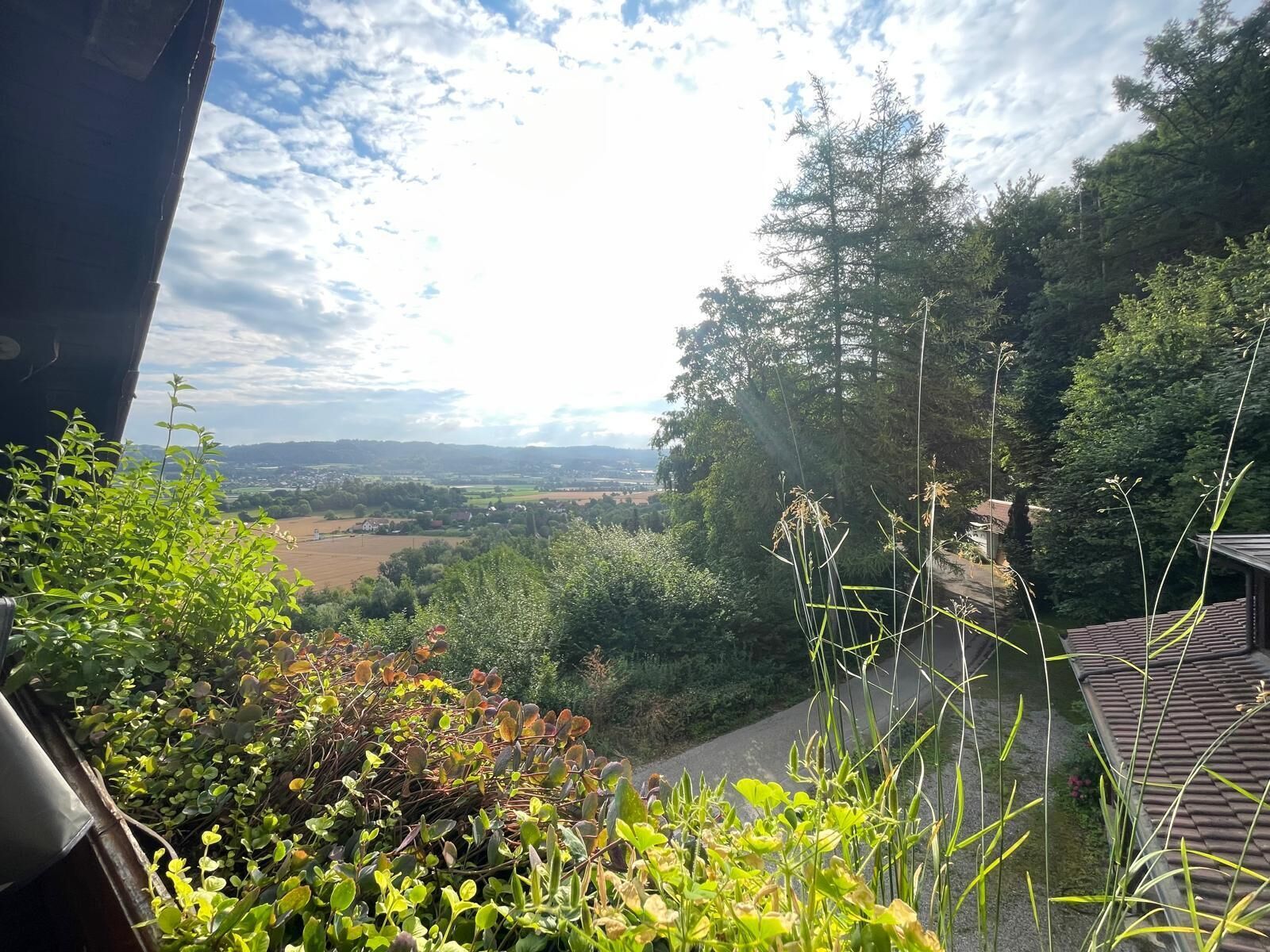 Parco della struttura