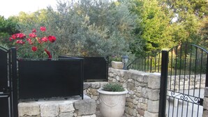 Eine steinerne Mauer mit einem Blumentopf, einem Metallgitter und roten Blumen im Hintergrund.