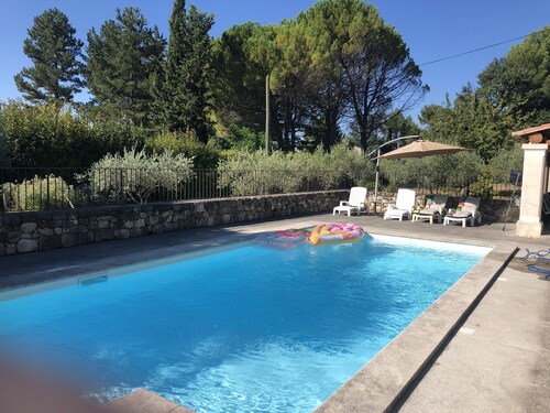Sunny olive trees