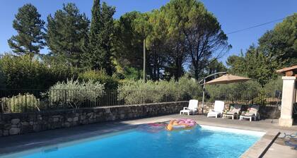 Sunny olive trees