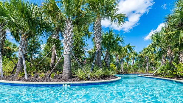 Piscina rodeada por palmeiras e um céu azul límpido.