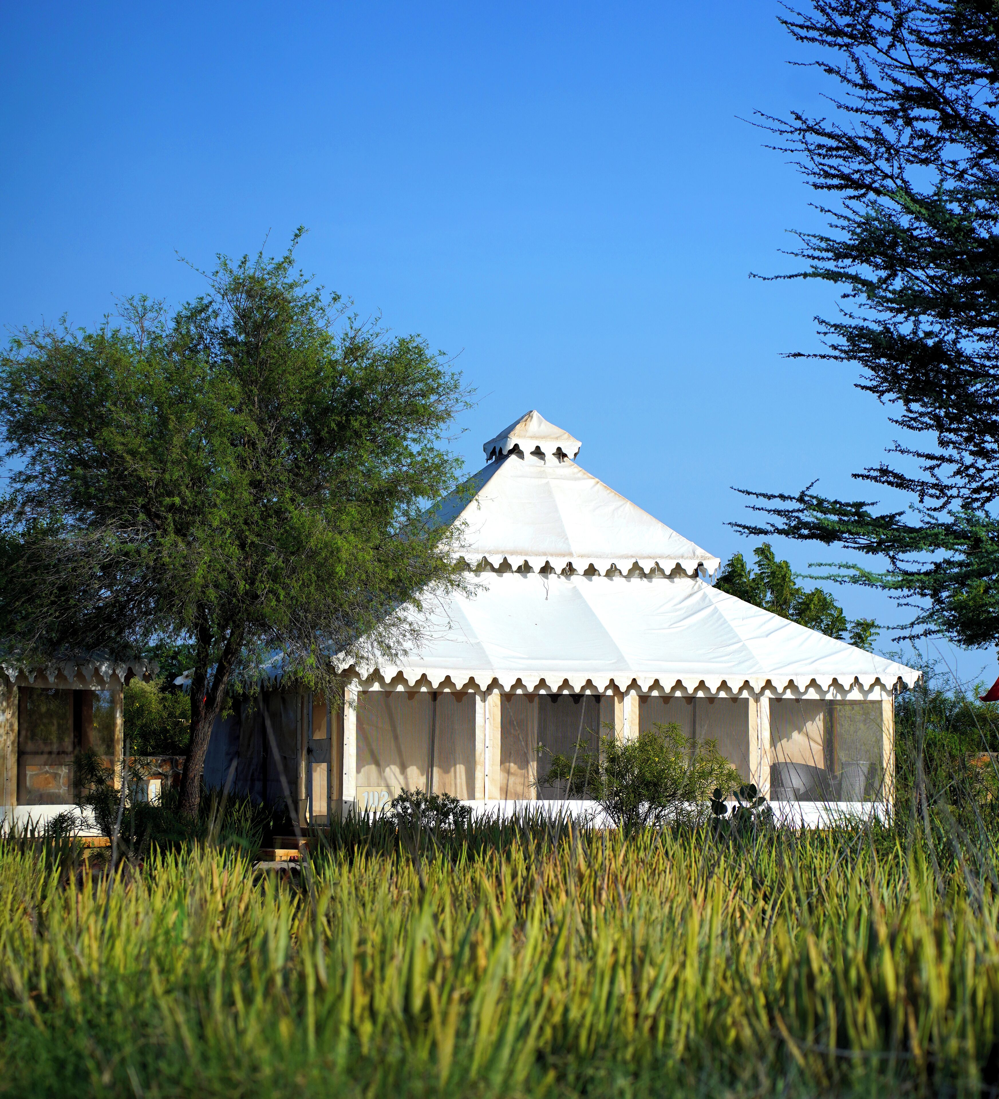 Lyxtält | Minibar och sängkläder