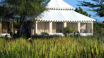 Lyxtält | Minibar och sängkläder