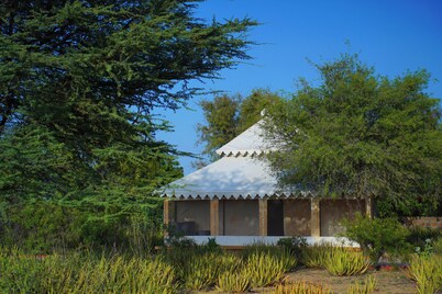 Desert Springs Resorts