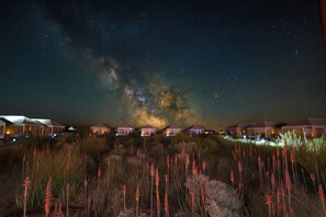 A night view of a resort with multiple overwater bungalows, a visible Milky Way, and a foreground of tall grasses. - Desert Springs Resorts (Jaisalmer)
