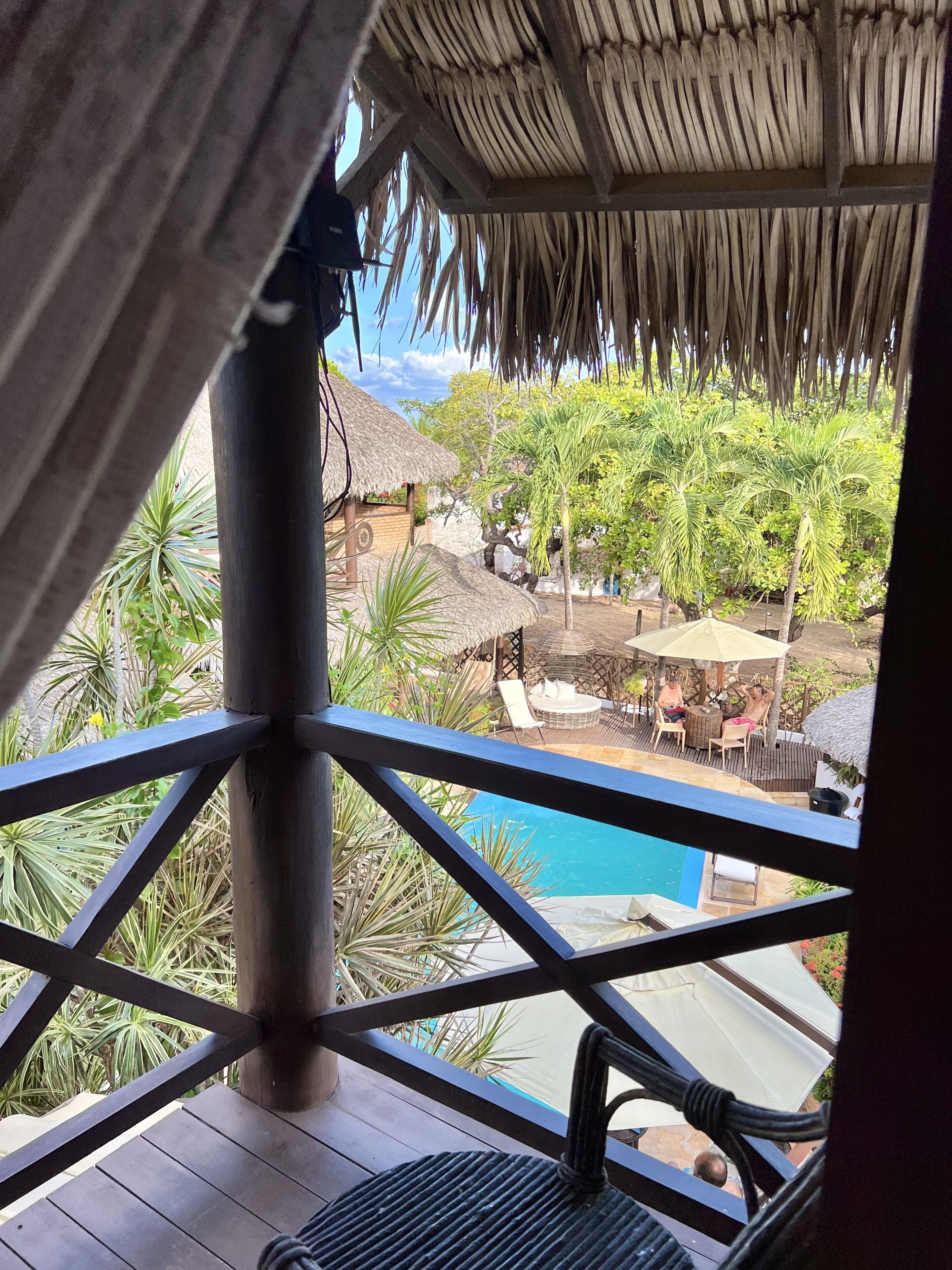 Garden view