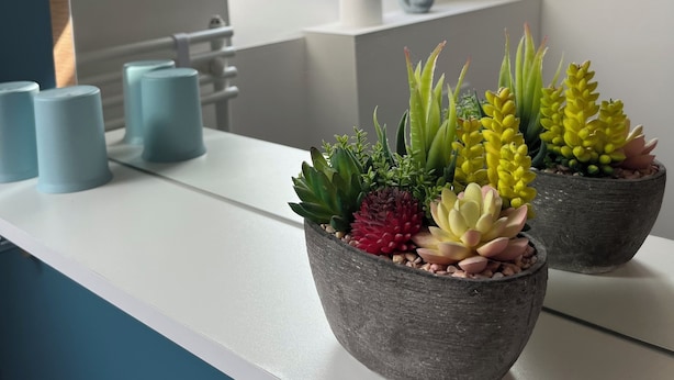 Un interior moderno con tragaluz, encimera blanca y dos plantas en macetas.