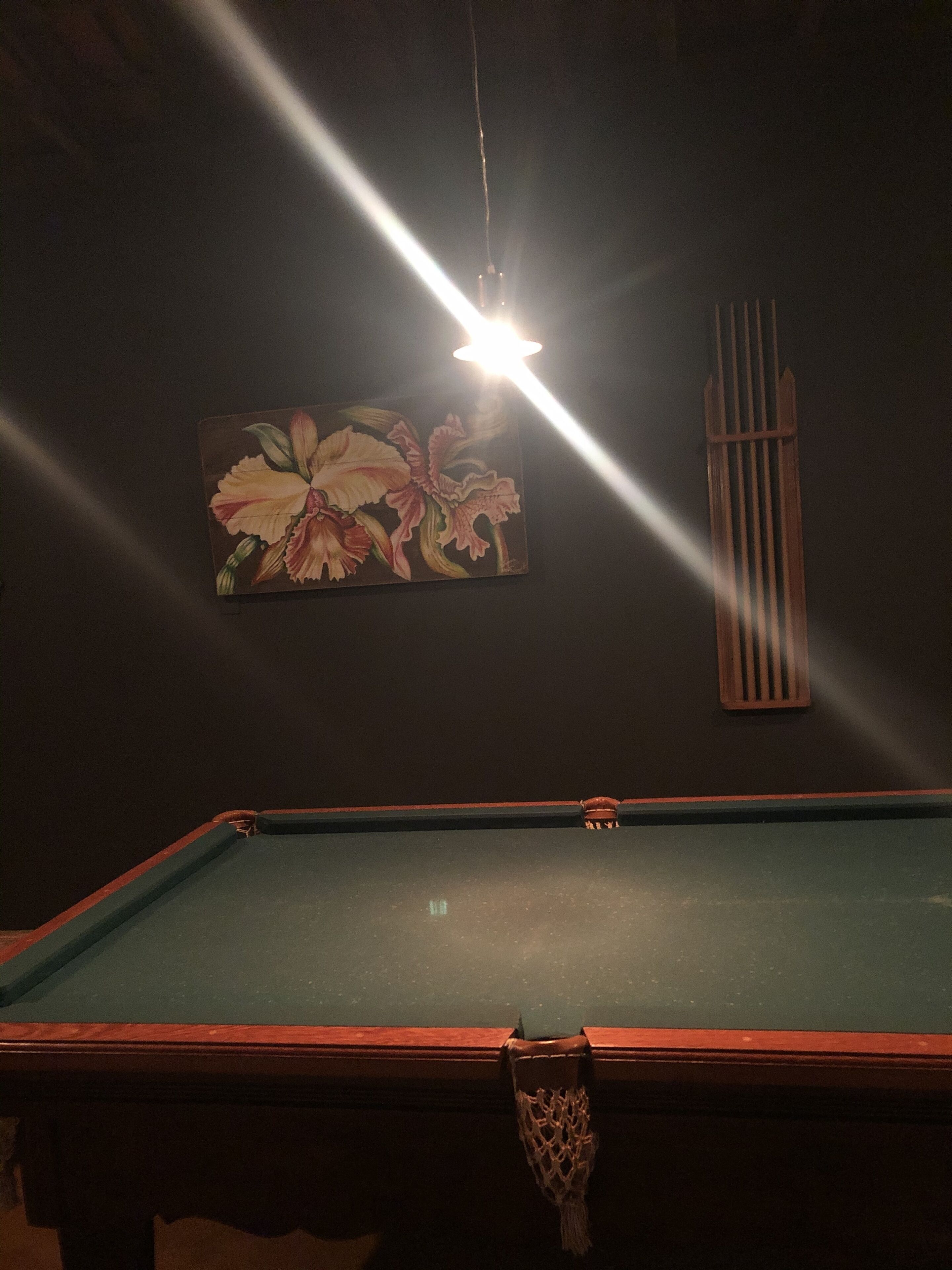 A pool table with a green felt surface, a wooden border, and a corner pocket. There is a wall-mounted light fixture above the table, and a framed floral artwork is visible on the wall.