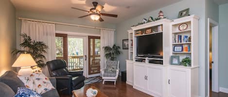 Smart TV, Netflix, DVD player, books