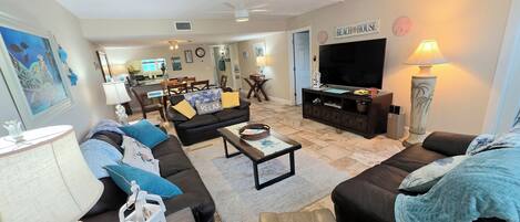 Flat-screen TV, video games, books