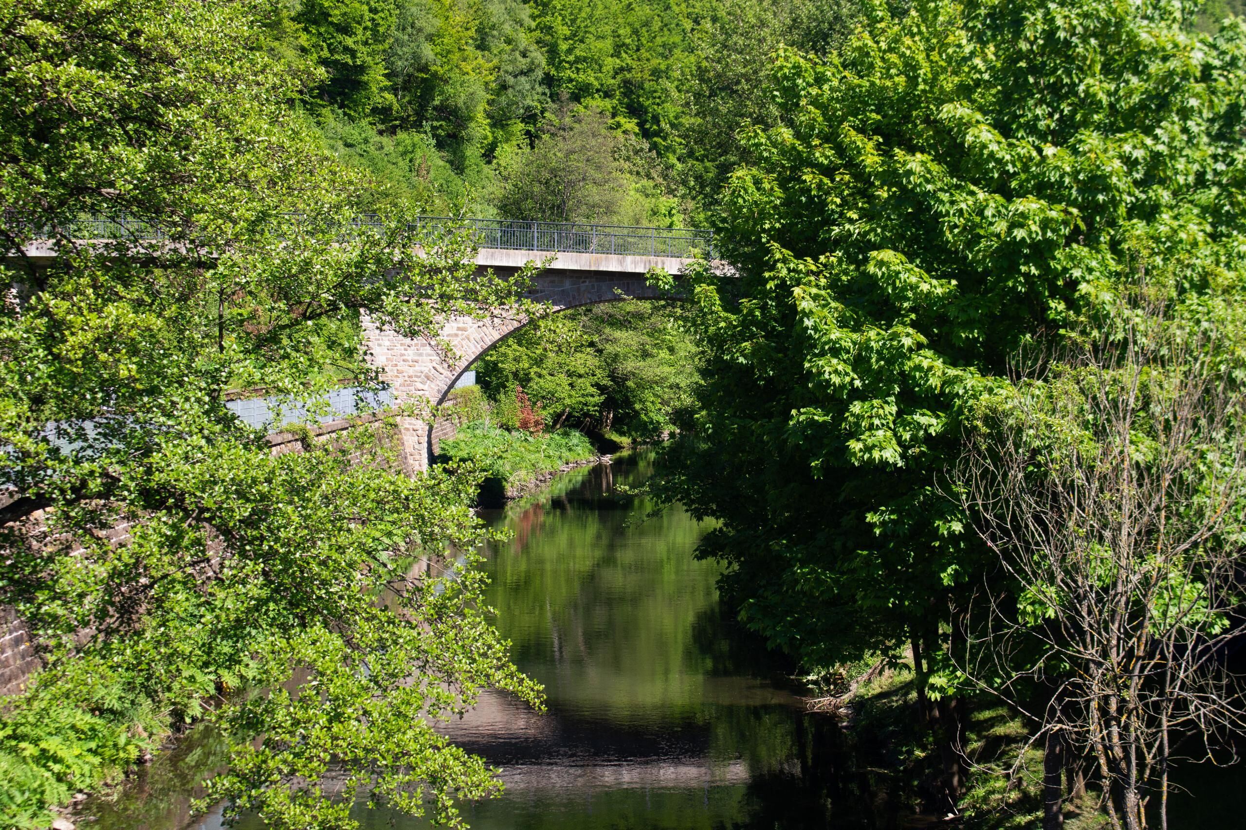 Een stenen brug over een kalme rivier, omringd door weelderige begroeiing.