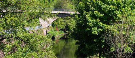 Een stenen brug over een kalme rivier, omringd door weelderige begroeiing.