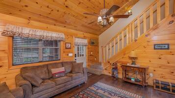 TV, fireplace, video games, DVD player