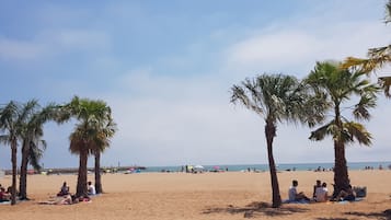 Beach nearby, sun-loungers