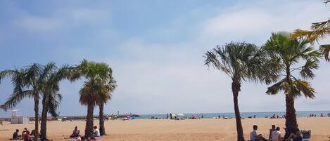 Beach nearby, sun-loungers
