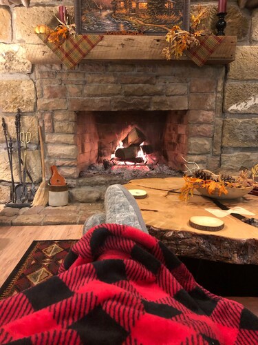 
 Rustic Cabin Retreat on 120 Acres with Private Lake, Wildlife, and Fireplace.