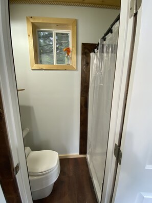Shower, towels, toilet paper
