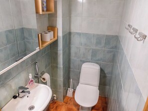 A bathroom with a toilet, sink, and shower. There are toilet paper and a bottle of soap on the sink. - Aquahovi b5 by Interhome (Kittilä)