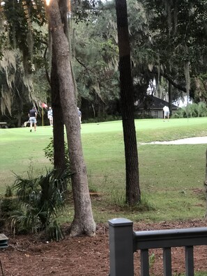 Golf - An Oasis of Relaxation 30 day min stay-3900/month (St. Simons Island)