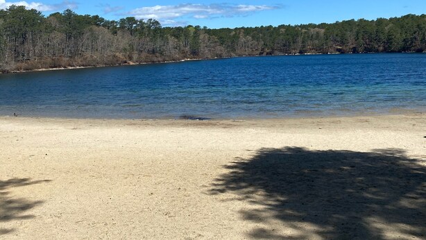 A beach with clear blue water, sandy shore, and a forested hill in the background. - Great Comfortable Private Studio (Barnstable)