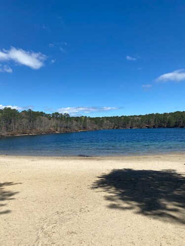 Great Comfortable Private Studio