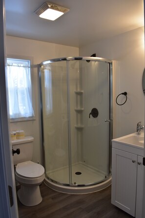 Combined shower/tub, hair dryer, soap, toilet paper