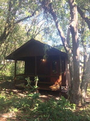 Standard Cabin (13) | Terrace/patio