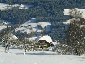 Unclassified image, 3 of 25, button - Bio - Appartements Bischof, Familie Wind - Appartement 1 (Verditz)
