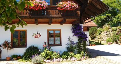 Bio - Appartements Bischof, Familie Wind - Appartement 1