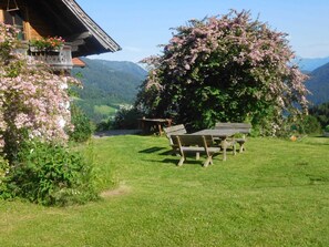 Outdoor dining - Bio - Appartements Bischof, Familie Wind - Appartement 1 (Verditz)