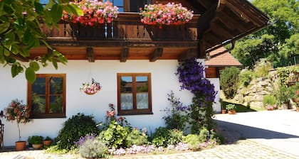 Bio - Appartements Bischof, Familie Wind - Appartement 1