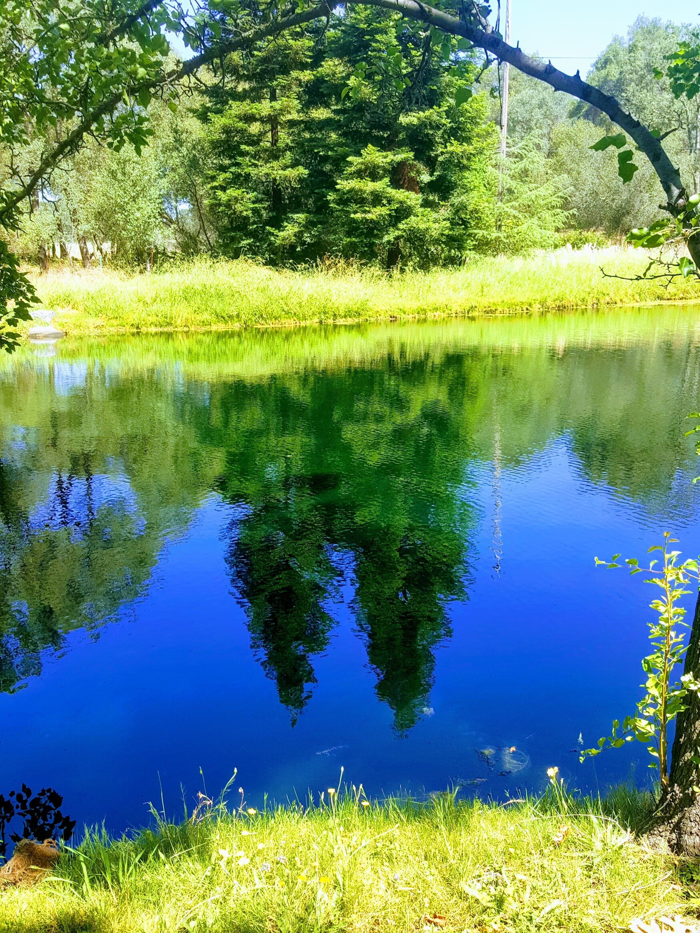 Private Lake, Farm Stay, 100 acres Granite Bay