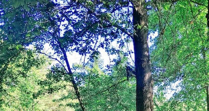 Private Lake, Farm Stay, 100 acres Granite Bay