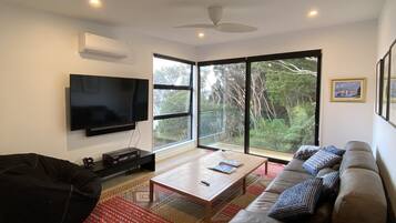 Smart TV, DVD player, books, video library