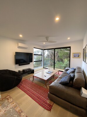 Smart TV, DVD player, books, video library