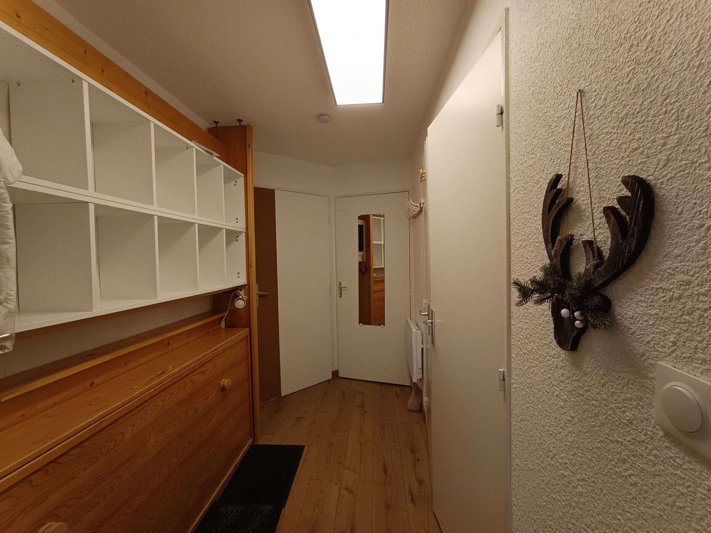 A hallway with a wooden bench, a white door, and a wall-mounted deer antler decoration.