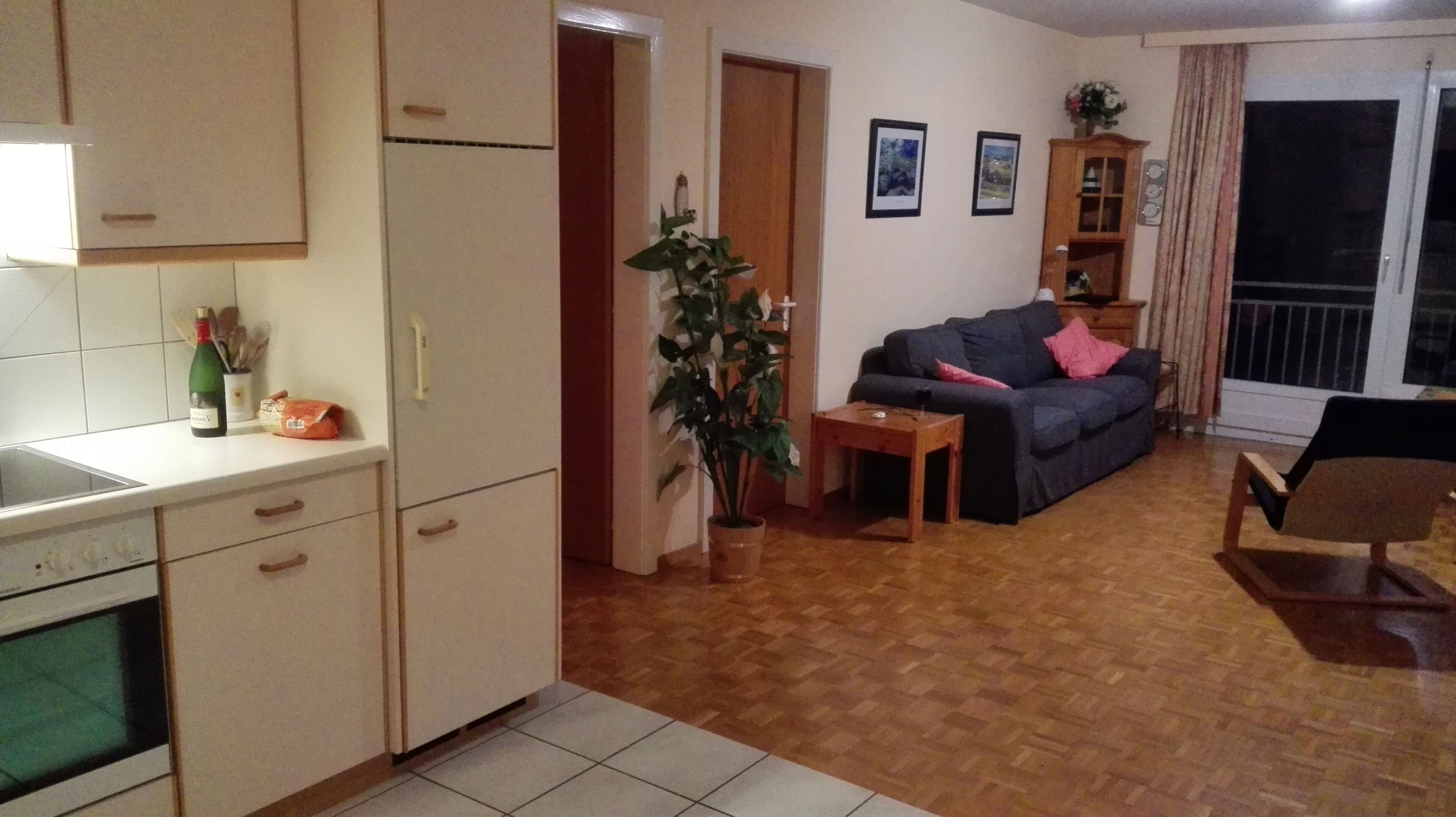 A compact living space with a kitchenette, a sofa, a dining table, and a potted plant.