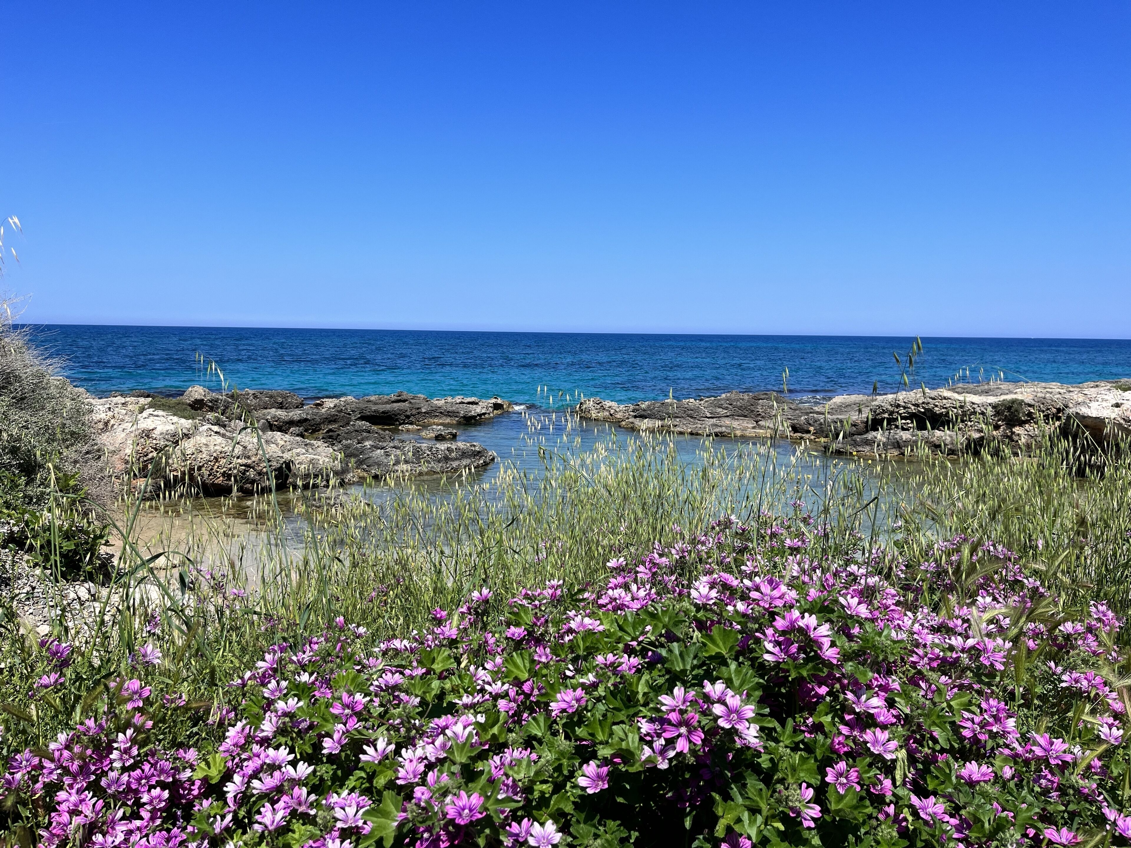 Beach nearby, sun loungers