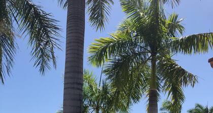 Porto dos Lençóis - AP02