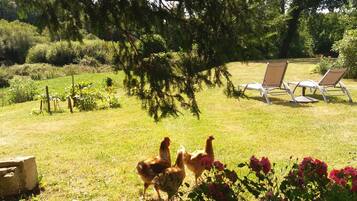 Overnatningsstedets område