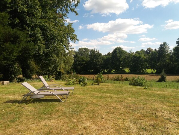 Área da propriedade