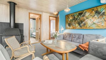 Télévision, cheminée, lecteur de DVD