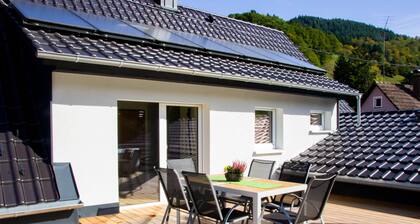 Vacation apartment with large roof terrace in MĂŒnstertal in the Black Forest