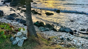 Una spiaggia con una palma, costa rocciosa e onde oceaniche.